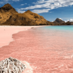 Tempat Terbaik untuk Mendaki di Pantai Pink Lombok yang Lagi Viral