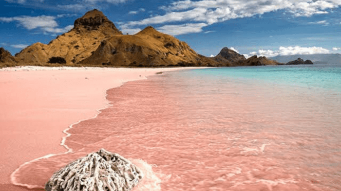 Petualangan Seru di Pantai Pink Lombok yang Lagi Viral