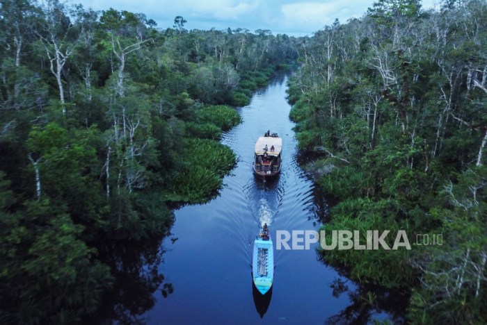 Puting tanjung kalimantan national park borneo attractions