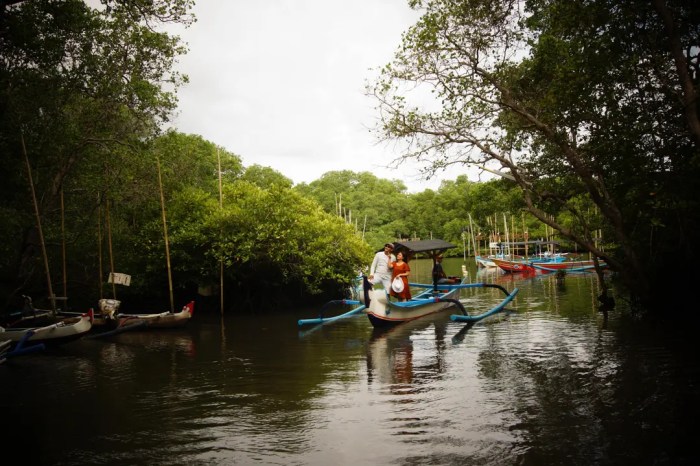 Destinasi Hits untuk Liburan di Hutan Mangrove Bali untuk Healing