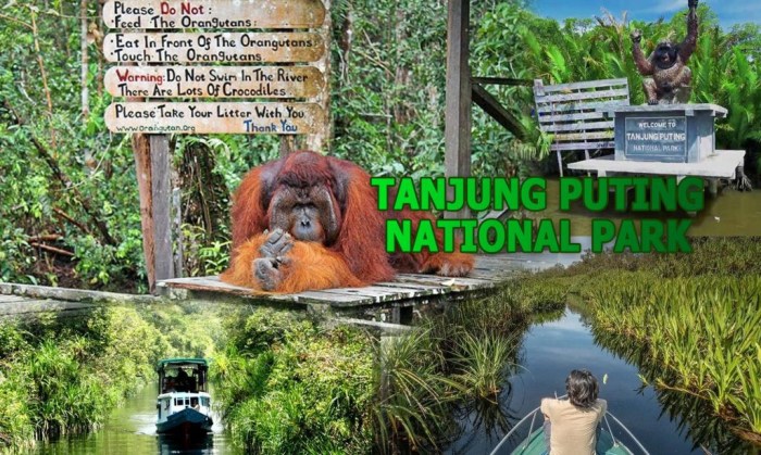 Tanjung puting national park borneo indonesia