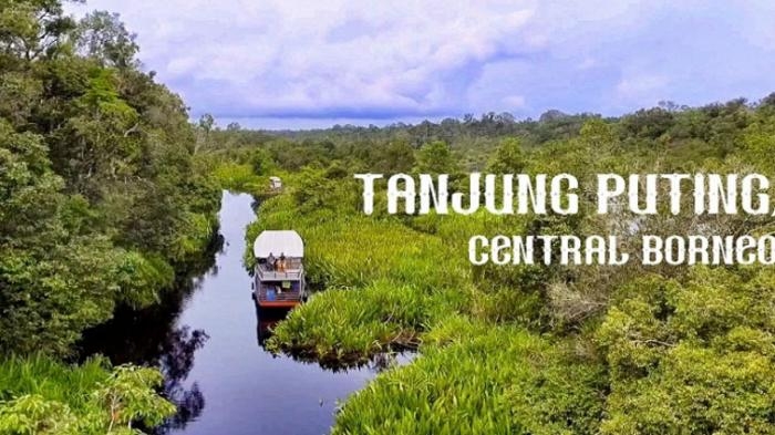 Liburan Asyik di Tanjung Puting Kalimantan yang Ramah untuk Anak-anak