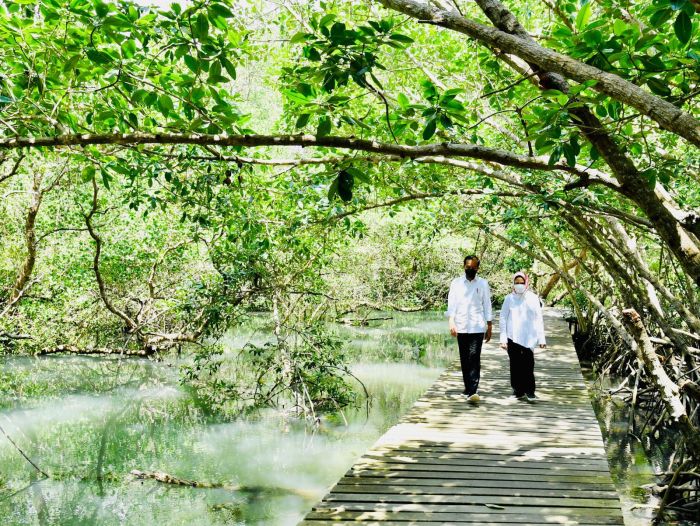 Mangrove suwung bali hutan bersantai