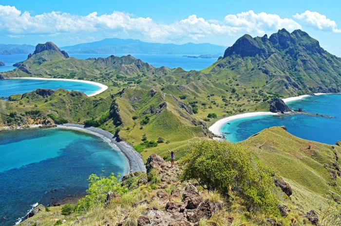 Mengenal Kekayaan Alam Taman Nasional Komodo dengan Panorama Indah