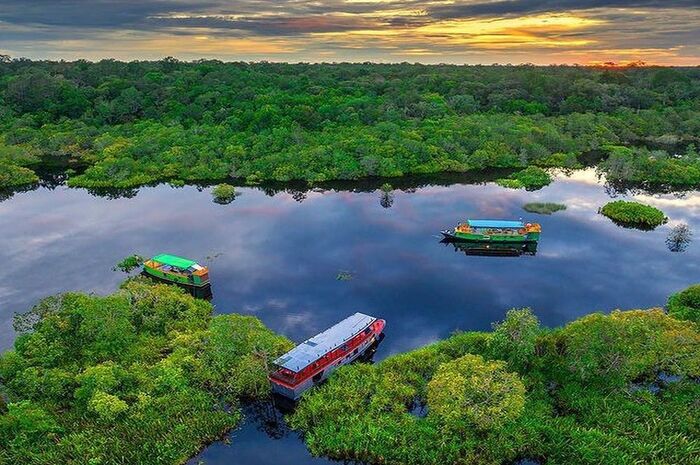 Menjelajahi Keindahan Tanjung Puting Kalimantan untuk Penggemar Fotografi