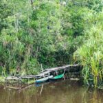 Puting tanjung national park morning good rainforest spend heading privilege into