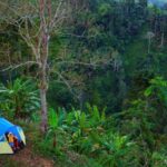 Liburan Asyik di Hutan Mangrove Bali yang Cocok untuk Camping