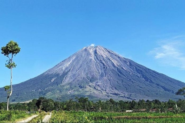 Semeru gunung yang ranu pani dilakukan boleh puncak pendakian mendaki