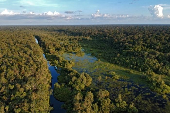 Merasakan tanjung kawasan puting nasional eksotisnya taman picuki