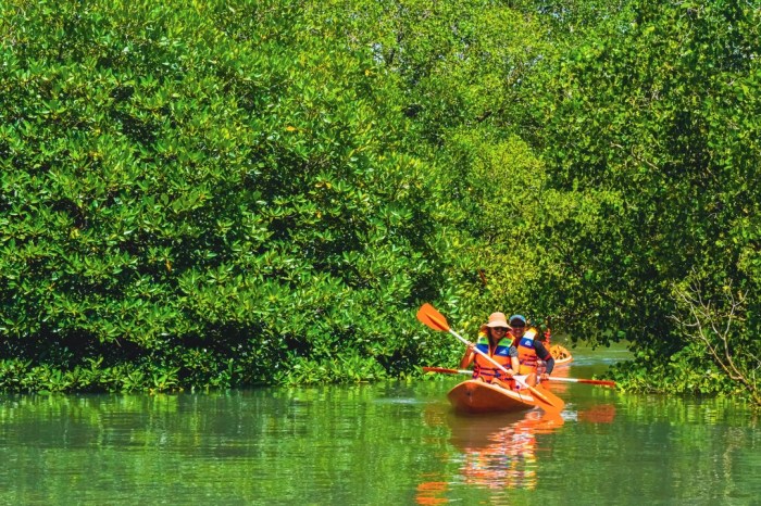 Mangrove pik hutan lokasi masuk tiket wisata destinasi agustus utara ada