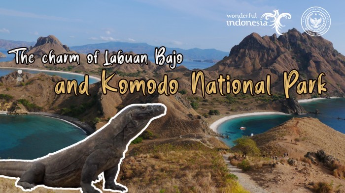 Komodo labuan parc papan taman nasional