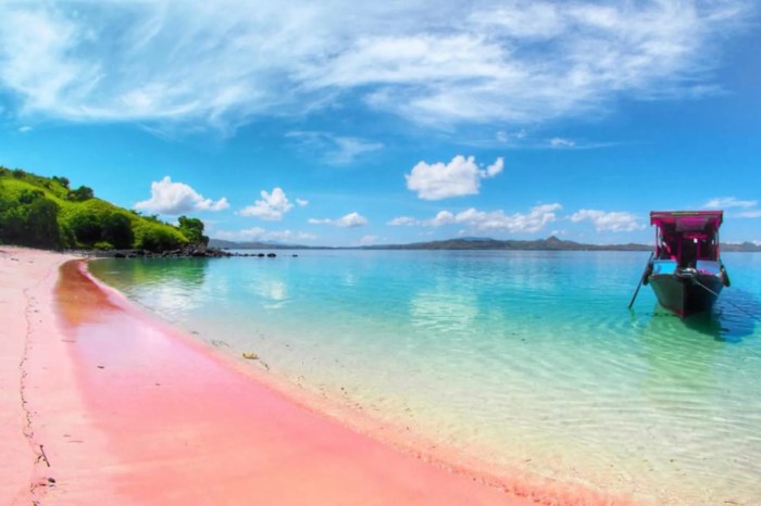 Pink beach lombok east sand beaches bahamas indonesia wisata paradise komodo di island pantai world there greece bali around yang