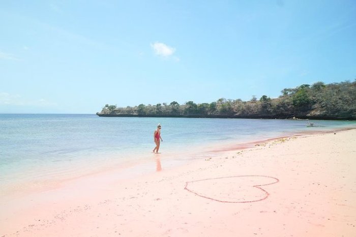 Petualangan Seru di Pantai Pink Lombok yang Lagi Viral