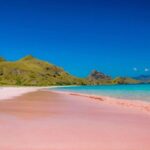 Liburan Asyik di Pantai Pink Lombok untuk Penggemar Fotografi