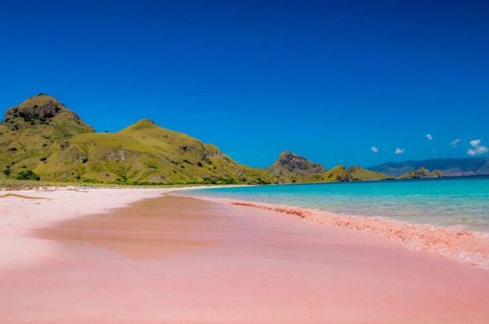 Liburan Asyik di Pantai Pink Lombok untuk Penggemar Fotografi