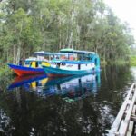 Puting tanjung kalimantan borneo