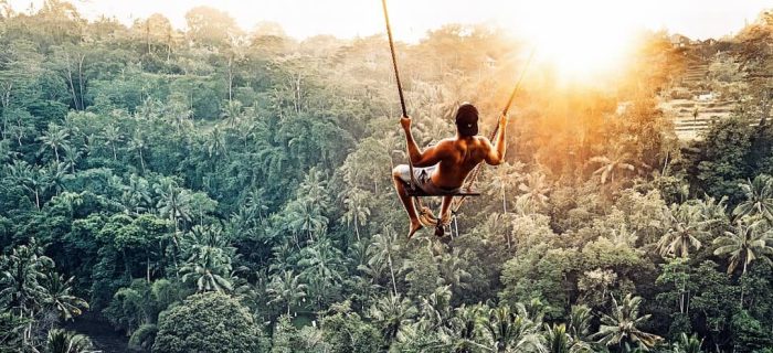 Petualangan Seru di Hutan Mangrove Bali yang Lagi Viral