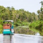 Tempat Terbaik untuk Mendaki di Tanjung Puting Kalimantan dengan Trek Menantang