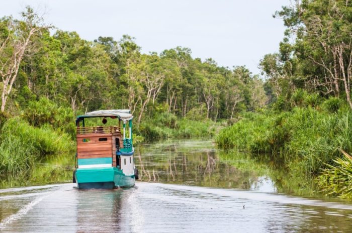 Rekomendasi Wisata Alam di Tanjung Puting Kalimantan dengan Panorama Indah