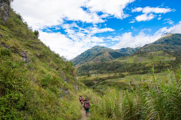 Menjelajahi Keindahan Lembah Baliem Papua dengan Trek Menantang