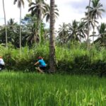 Menghabiskan Waktu di Hutan Mangrove Bali dengan Keluarga