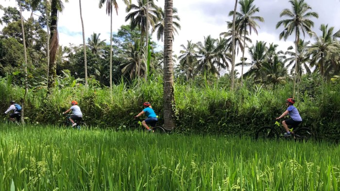 Menghabiskan Waktu di Hutan Mangrove Bali dengan Keluarga