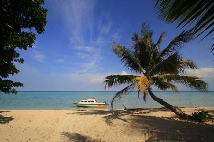 Menghabiskan Waktu di Pulau Derawan untuk Penggemar Fotografi