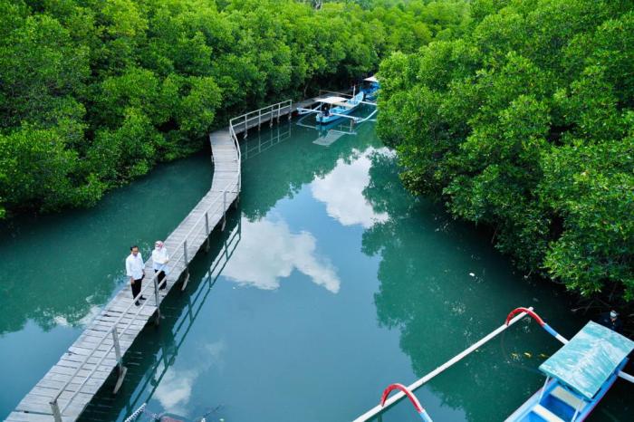 Menghabiskan Waktu di Hutan Mangrove Bali untuk Healing