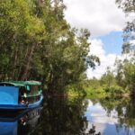 Tanjung puting national park boat orangutans trekking wild incredible experience