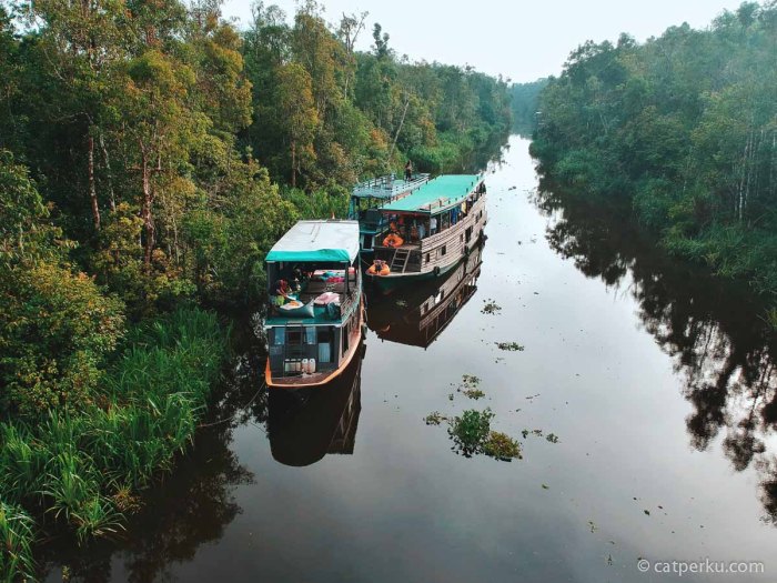 Puting tanjung kalimantan utan wisata menuju kapal pelabuhan sarapan seputar sungai