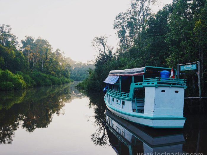 Menghabiskan Waktu di Tanjung Puting Kalimantan untuk Liburan Akhir Pekan