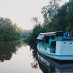 Menjelajahi Keindahan Tanjung Puting Kalimantan dengan Keluarga