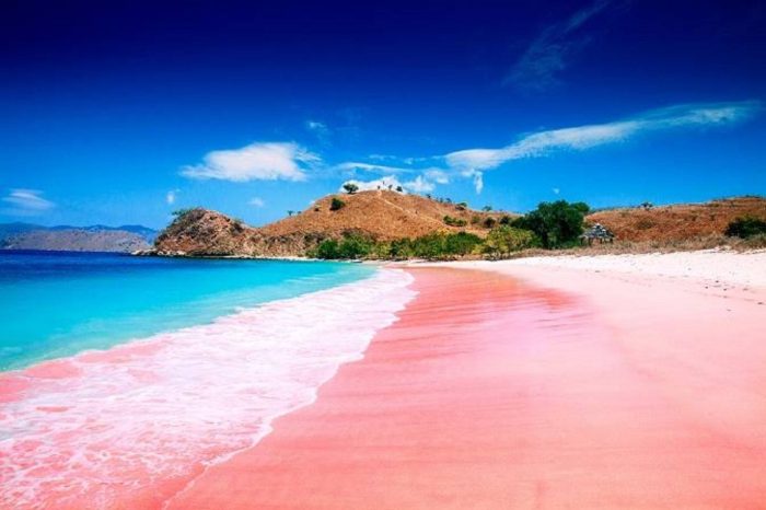 Tempat Terbaik untuk Mendaki di Pantai Pink Lombok dengan Panorama Indah