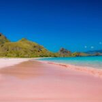 Mengungkap Pesona Pantai Pink Lombok dengan Trek Menantang