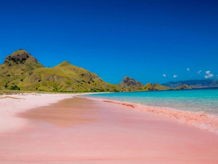 Mengungkap Pesona Pantai Pink Lombok dengan Trek Menantang