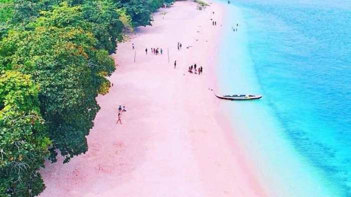 Beach lombok pink trip