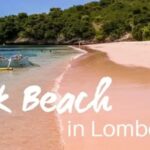 Tempat Terbaik untuk Mendaki di Pantai Pink Lombok dengan Keluarga