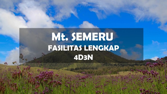 Gunung semeru pendakian pembatasan nyaman kuota petugas menjajal sejenak pendaki bersama jalur beristirahat jumat timur jawa suaraindo