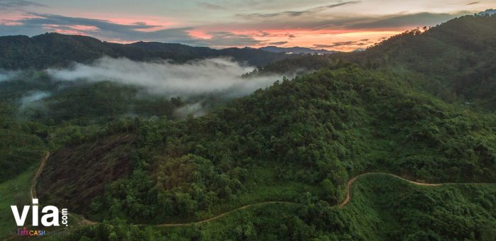 Wisata kunjungi bisa bersama kamu populer tanjung puting reservasiku taman