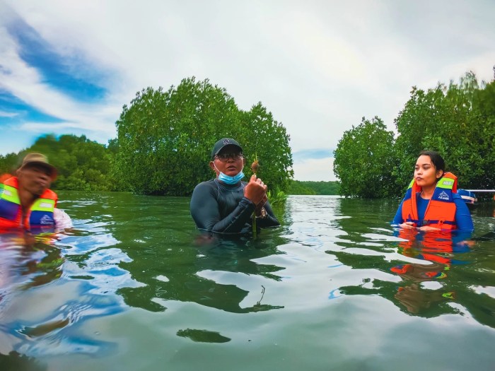 Tempat Terbaik untuk Mendaki di Hutan Mangrove Bali untuk Penggemar Fotografi