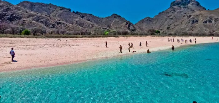 Pantai merah lombok muda berpasir pulau nusa tenggara inilah keindahan temukan kawasan salah barat dunia ada