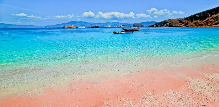 Eksplorasi Alam Terbuka di Pantai Pink Lombok untuk Penggemar Fotografi