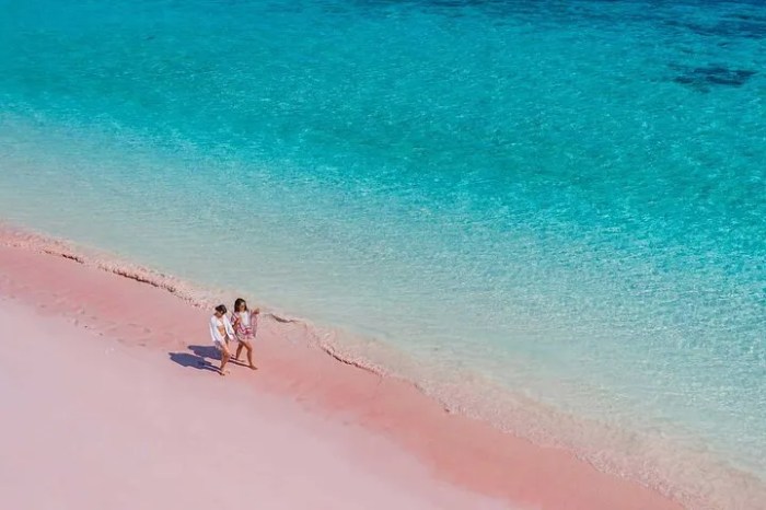 Komodo pink beach island indonesia sand beaches world buzzfeed article national park located