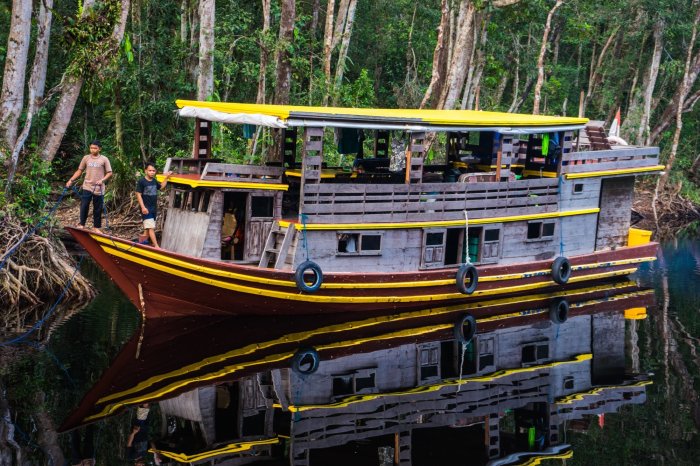 Menghabiskan Waktu di Tanjung Puting Kalimantan dengan Keluarga