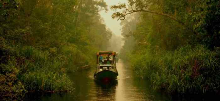 Tanjung puting nasional taman lorentz kalimantan tengah balai tntp