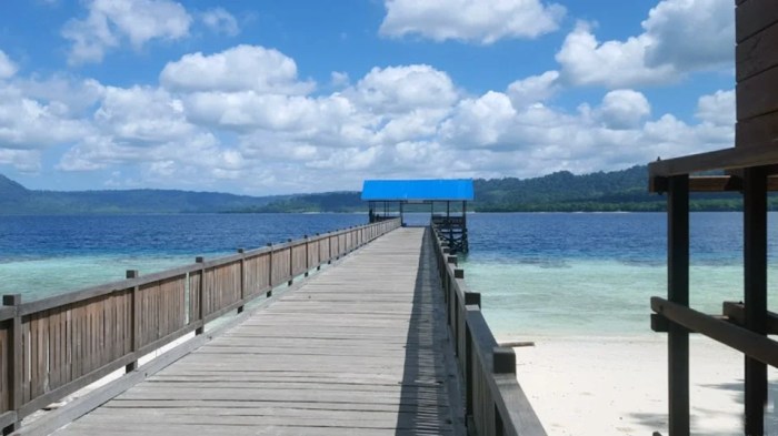 Kalimantan derawan pulau maratua timur perairan berau kenzie jejak places kepulauan gambar pantai lumba surga kabupaten kehadiran bmj masyarakat tolak