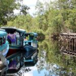 Tempat Terbaik untuk Mendaki di Tanjung Puting Kalimantan untuk Healing