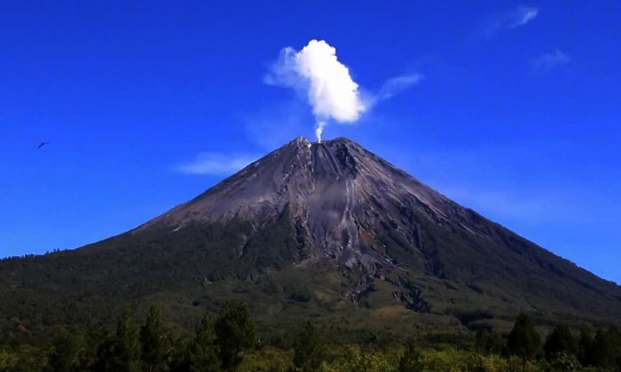 Rekomendasi Wisata Alam di Puncak Gunung Semeru yang Ramah untuk Anak-anak