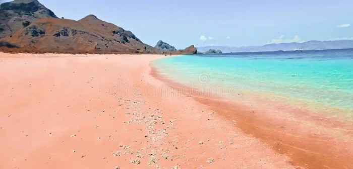 Mengenal Kekayaan Alam Pantai Pink Lombok untuk Penggemar Fotografi