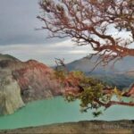 Mengenal Kekayaan Alam Kawah Ijen Banyuwangi yang Ramah untuk Anak-anak